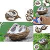 Realistic Set 1 Feathered Birds With Nest Birds Egg Artificial Garden Decor Tree