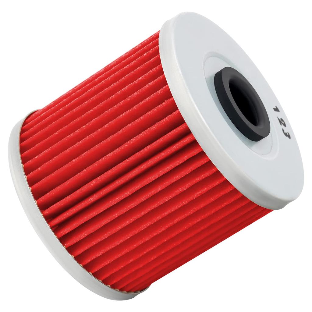 AHL 123 Motorcycle Filter for Kawasaki BJ250 TR 250 2002-2008/ BJ250 Estrella Custom