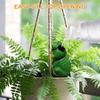 4pcs Realistic Frog Terracotta Watering Spikes 100ml Self-Watering Terra Cotta Plant Spikes for 2-3 Days Secret Garden Guardians Gift for Plant Lovers