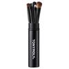 Makeup Brush Set (5 Brushes)