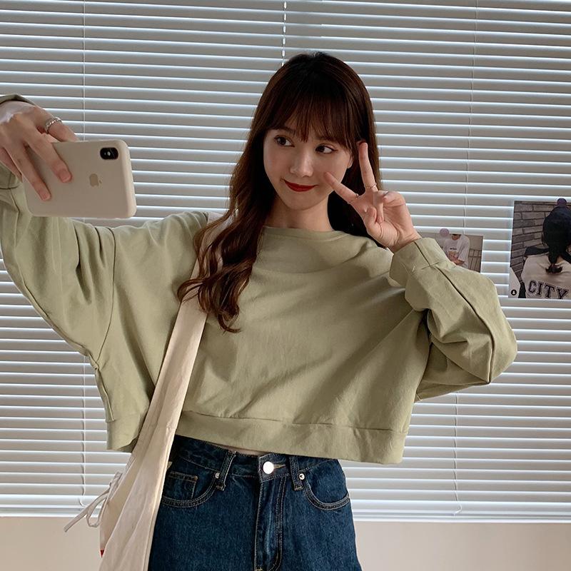 Spring and Autumn Regular Loose Thin Sweatshirt Women's Casual Short Versatile Round Neck Long Sleeve Cotton T-Shirt Women's Clothing