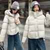 Soft Waxy Puffs Short Hooded Down Cotton Clothes Women's Winter New Loose and Thin Small Bread Clothes Trendy