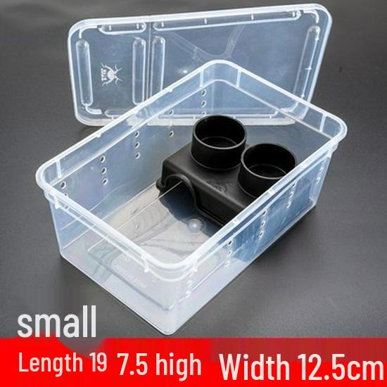 Reptile Habitat Tank for Silkworms, Spiders, Frogs, Snakes, Lizards, Snails, Insects, and Turtles