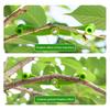 5Pcs Plant Training Benders Adjustable Branch Straightener Tool for Bonsai Trees Gardening Durable Plastic Bend Clips To Shape And Support Plant