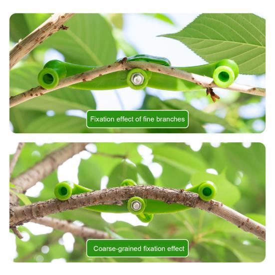 5Pcs Plant Training Benders Adjustable Branch Straightener Tool for Bonsai Trees Gardening Durable Plastic Bend Clips To Shape And Support Plant