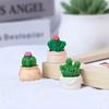 Landscape Creative Micro Cactus Decorations Toy Accessories Ornaments Desktop