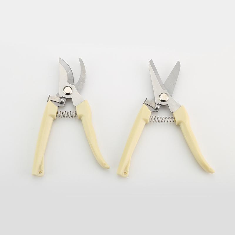 Stainless Steel Pruning Shears for Fruit, Flower, and Branch Gardening