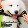 Pet Muzzle Portable Anti-bark Adjustable Breathable Sticker Type Outdoor Walking Playing Training Mouth Cover with Buckle