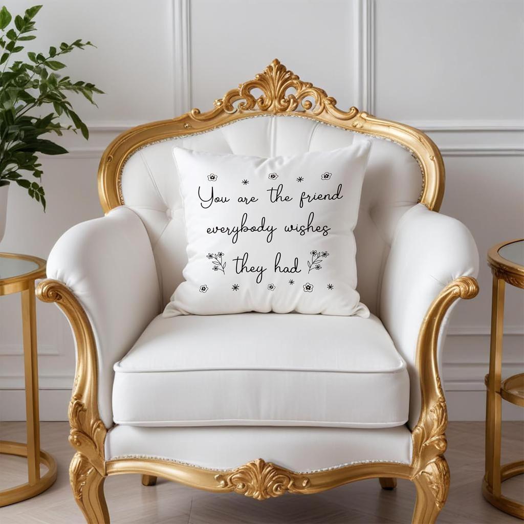 Friend Pillow Covers 18x18, Friends Gifts, Bestie BFF Gifts, Gifts for Friends, Friendship Gifts for Women, You Are The Friend Everybody Es They Had