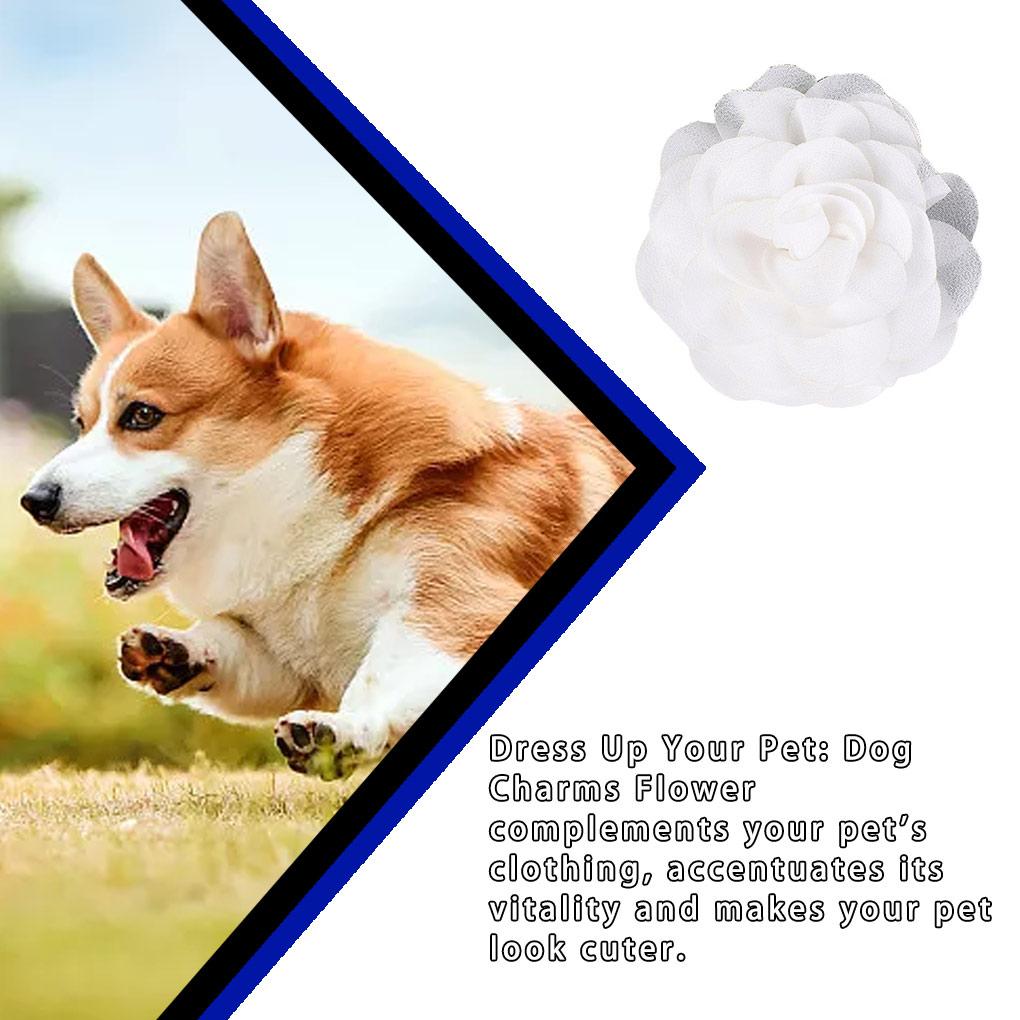 Dog Collar Flowers Elastic Band Design Cat Bow Tie Beautiful Appearance Pet Supplies Grooming Accessories for Puppy