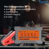 LANCOL CAT900 Tragbares Autobatterieladegerät 12V 3A Vollautomatisches Intelligentes Autobatterieladegerät Reparatur Wartungsgerät Nass Trocken Blei-Säure