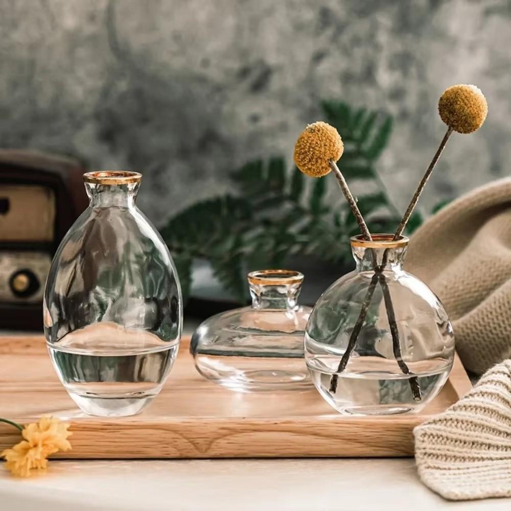 3PCS Nordic Style Mini Vase Set Minimalist Hydroponic Vase Elegant Small Plant Pots Kitchen