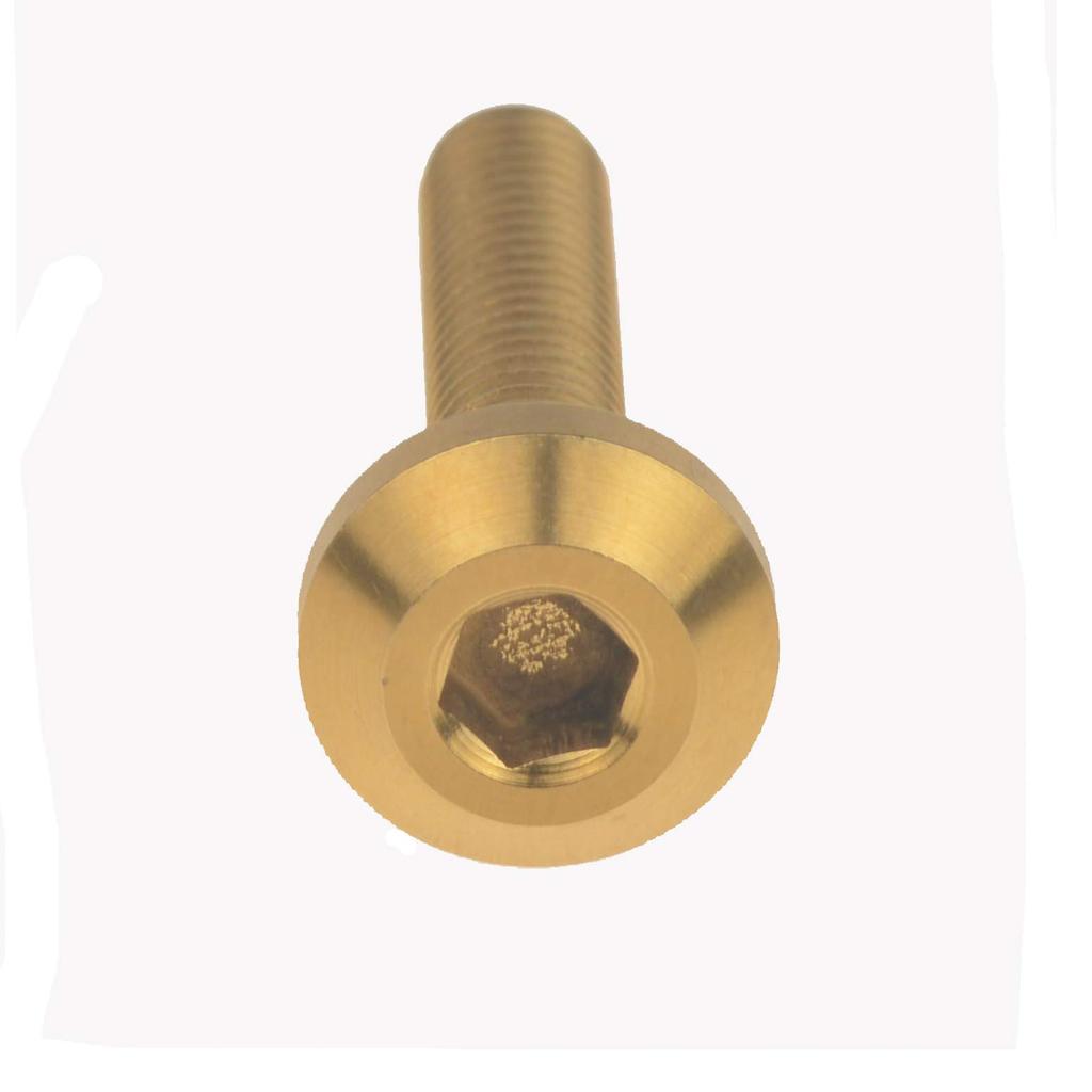 Ruifu Titanium Alloy Hexagon Socket M6x12 15 20 25 30