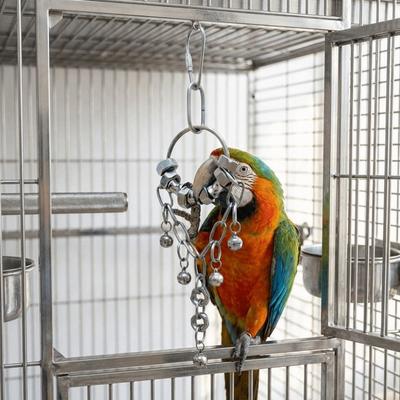 Edelstahl Vogel Kettenglocken Spielzeug Bissfest Süßer Klang Papagei Kauspielzeug Nagel Schleifen Rostfrei Vogelkäfig Hängespielzeug
