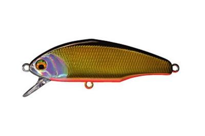 Pesca – Wobblers, esche e ami