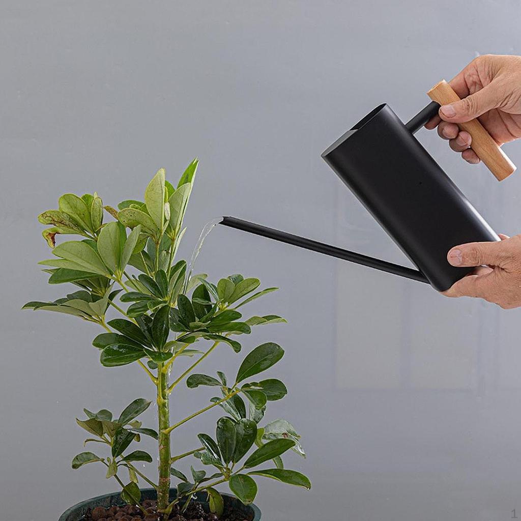 0.8L Stainless Steel Watering Can with Long Spout Gardening Kettle for House Plants Wooden Handle
