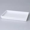 Diora Small Decorative Rectangle Tray In White Color