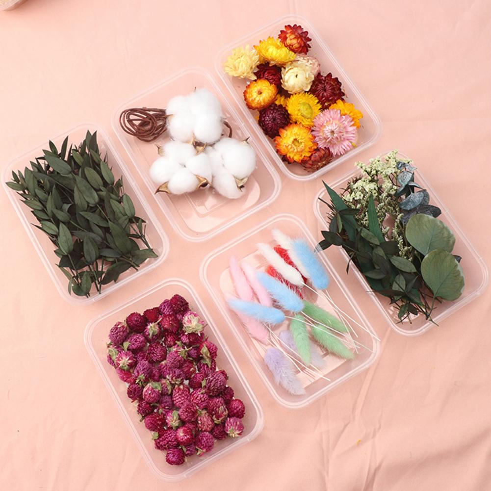 Dried Flowers Kit Real Natural Bulk DIY Handmade Everlasting Compressed Dried Flower Colorful Embossing Flowers Jewelry Supplies