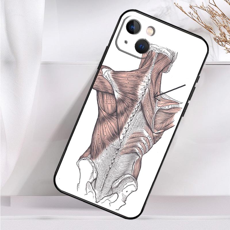 Menschliche Anatomie Stoßfeste Hülle Für iPhone 17 15 16 Pro Max 11 14 Plus 12 13 Mini 16e 17 Air Handyhülle