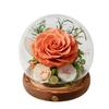 Valentine's Day gift, immortal flower rose glass cover, crystal ball micro-landscape ornament, gift for teacher and girlfriend