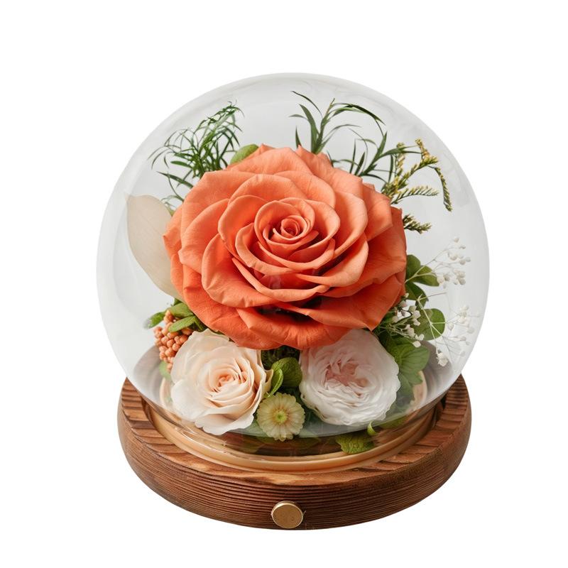 Valentine's Day gift, immortal flower rose glass cover, crystal ball micro-landscape ornament, gift for teacher and girlfriend