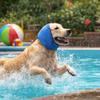 Sweat à capuche apaisant Imperméable Oreillettes pour chien Réduction du bruit Casquette de bain réglable pour animal de compagnie Confort élastique Capuche apaisante pour animal de compagnie Feu d'artifice
