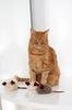 Natural Woolen Cat Toy: Mouse String