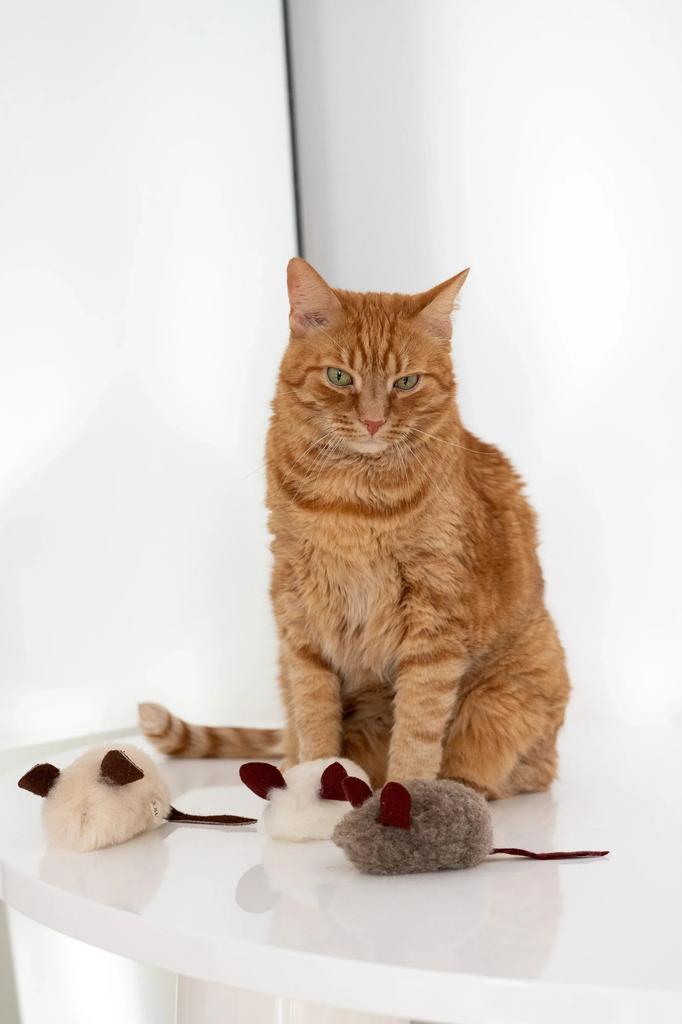 Natural Woolen Cat Toy: Mouse String