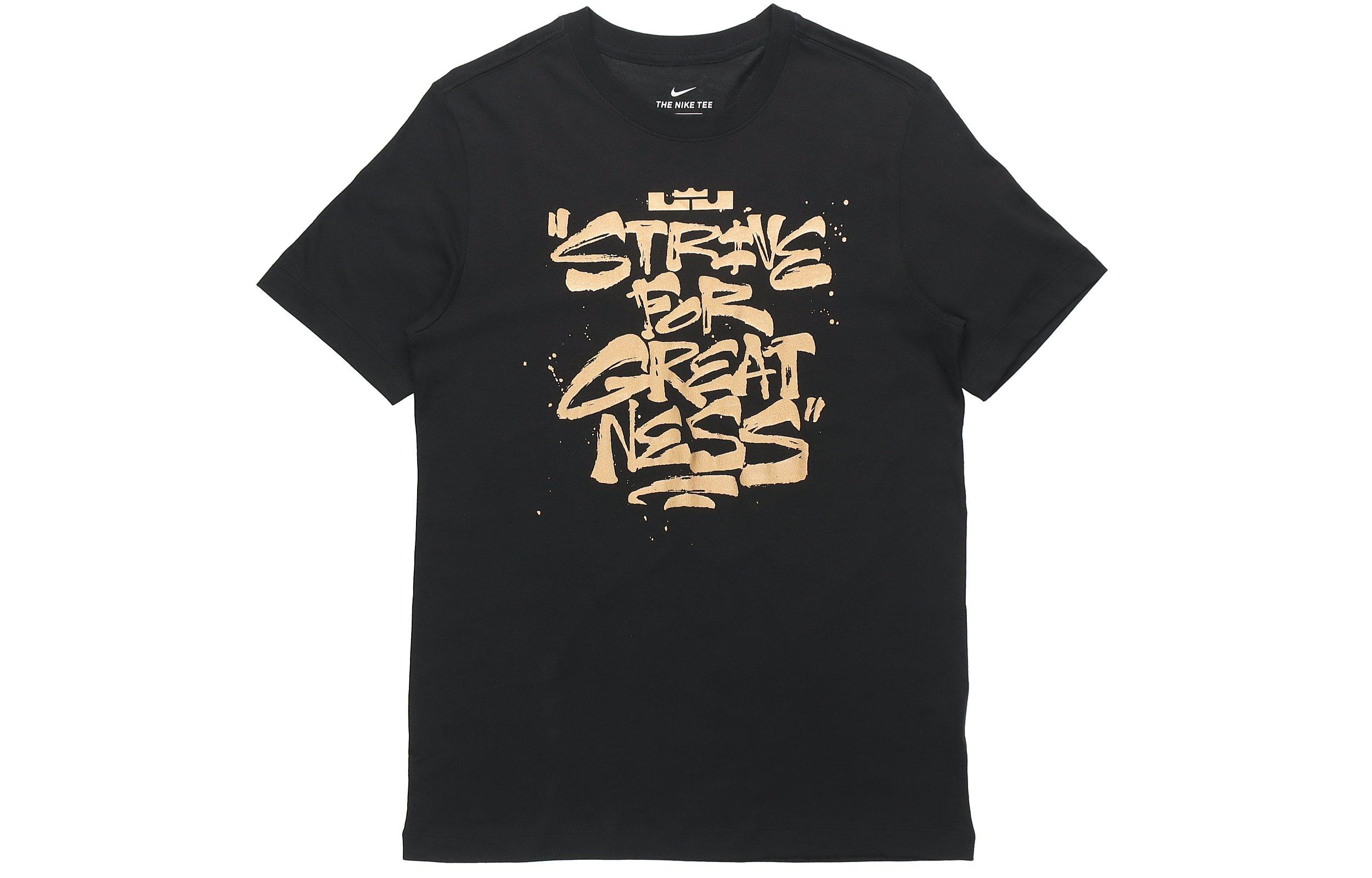 Футболка Nike Lebron Strive For Greatness DD0786-011 M