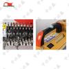 Zhongbisheng Pulse Fogger Disinfection Sprayer