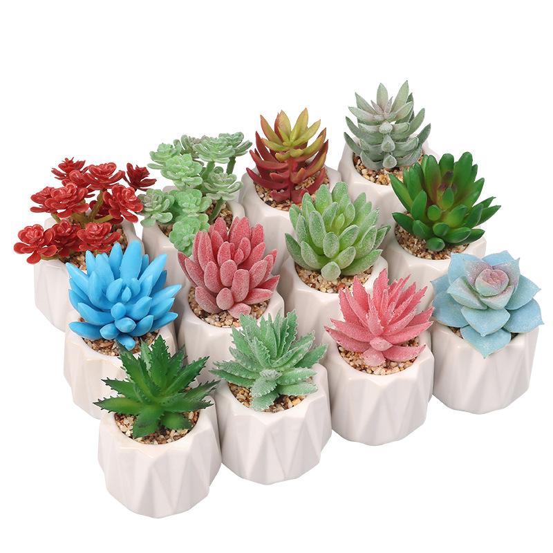 Small, Wavy Cup-Shaped Simulated Succulent Plant Potted Plant, Nordic Office Furniture Fresh Decoration