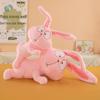 Charming Little Rabbit Plush Toy - Cute Sleep Companion & Birthday Gift