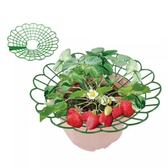 Strawberry Cradle Reusable Strawberry Support Trellis Planter Insert Strawberry Holder Avoid Ground Rot Gift for Home Gardeners