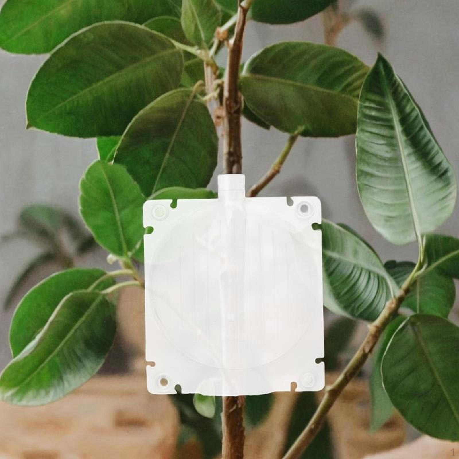 

Растениеводство Укоренение Растущий шар, Простые в использовании аксессуары, Садовый инструмент Выращивание прививки самшитовое дерево Diameter 8.5CM_Transparent