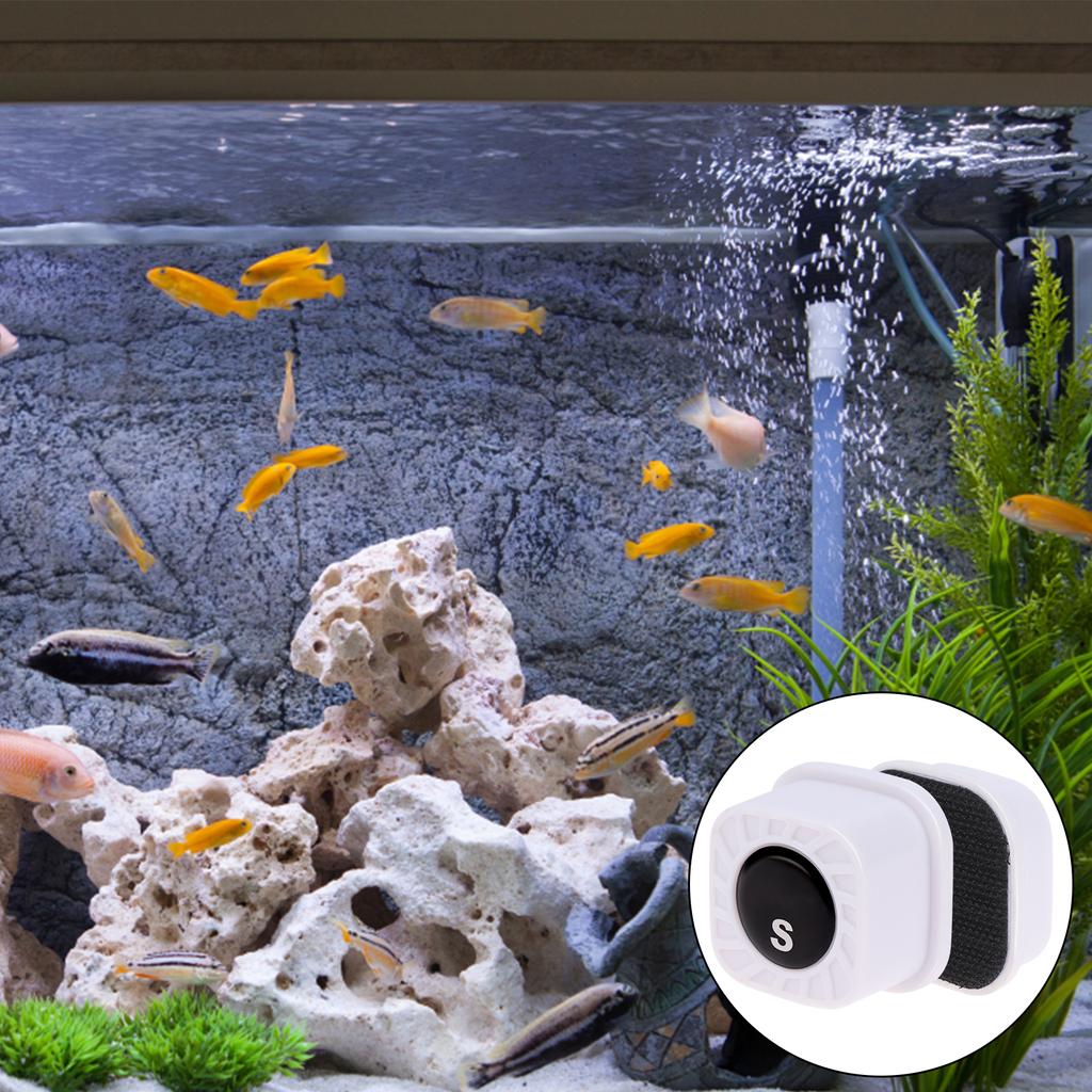 Comprar 2 Pieces Mini Aquarium Glass Cleaner Super Algae