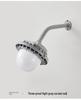 Explosion-Proof LED Light for Power Plants & Hazardous Chemical Workspaces