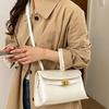 Metal Lock Underarm Bag Women's One-shoulder Crossbody Bag