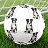Cute Puppy Indoor Size 5 Soccer Ball Colorful Machine Stitched PVC Competition Ready Durable High-Bounce