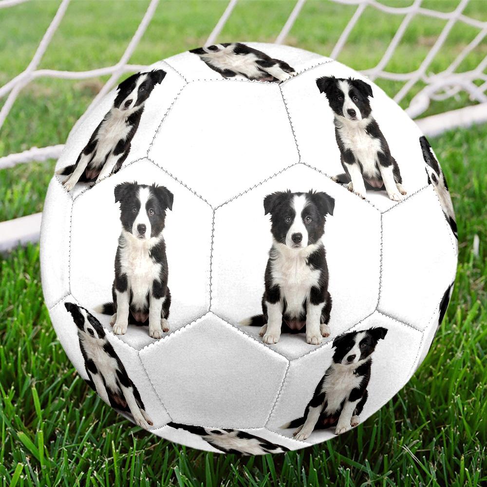 Cute Puppy Indoor Size 5 Soccer Ball Colorful Machine Stitched PVC Competition Ready Durable High-Bounce