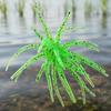 6Pcs Fishing Sea Urchin Lures Tear Resistance Soft Floating Swimbait Slow Sinking Artificial Baits for Saltwater Freshwat