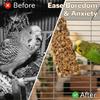 2 Pcs Natural Bird Treat Sticks - Nutritious Mixed Grains & Honey Snacks for Parakeets, Cockatiels, Lovebirds - Healthy Chewing & Foraging Cage Toy