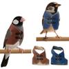 Kuş – Kuşlar için giyim
