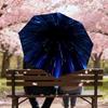1PC space travel Umbrella-8-Rib Reinforced, Automatic Open, Lightweight & Durable, Cute Fashion Accessory for Outdoor, Beach or Casual Use, Beach Umbr
