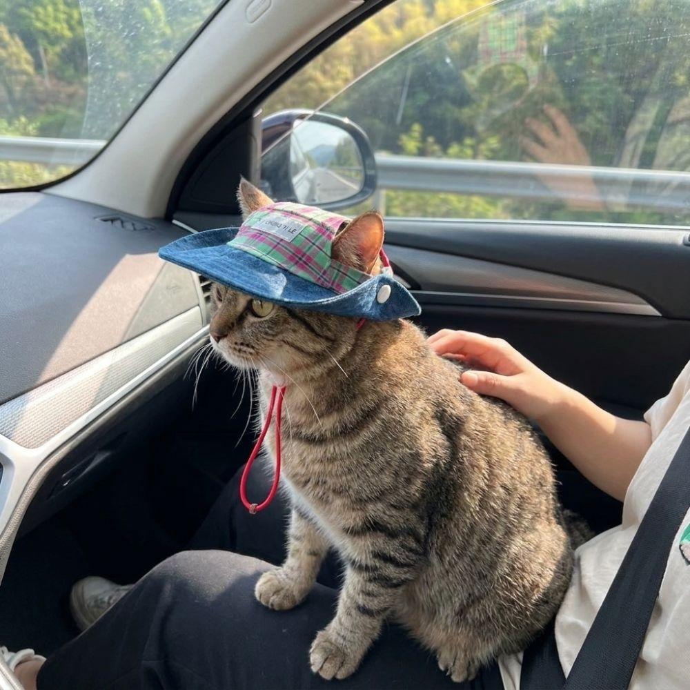Adjustable Pet Sun Protection Denim Hat Checkered with Ear Hole Dog Fisherman Hat Lightweight Breathable Dog Visor Cap Outdoor
