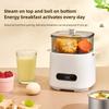 Smart Electric Egg Cooker Breakfast Machine Double Layer Multi functional Home Mini Egg Cooking Machine