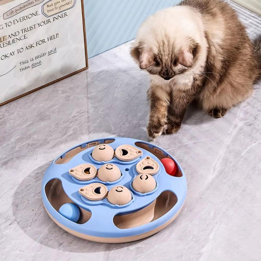 Ball Track Smart Cat Puzzle Toy Feather Teaser Pet Training Toy Kitty Play