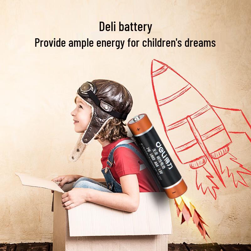 Deli AAA Alkaline Batteries CN plug (adapter included)