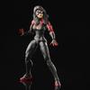 MARVEL Hasbro Marvel Legends Series Jessica Drew Spider-Woman, Spider-Man Legend 6 Inch (15 Cm) Size Action Figure with 2 Accessories F6569 Genuine Pr