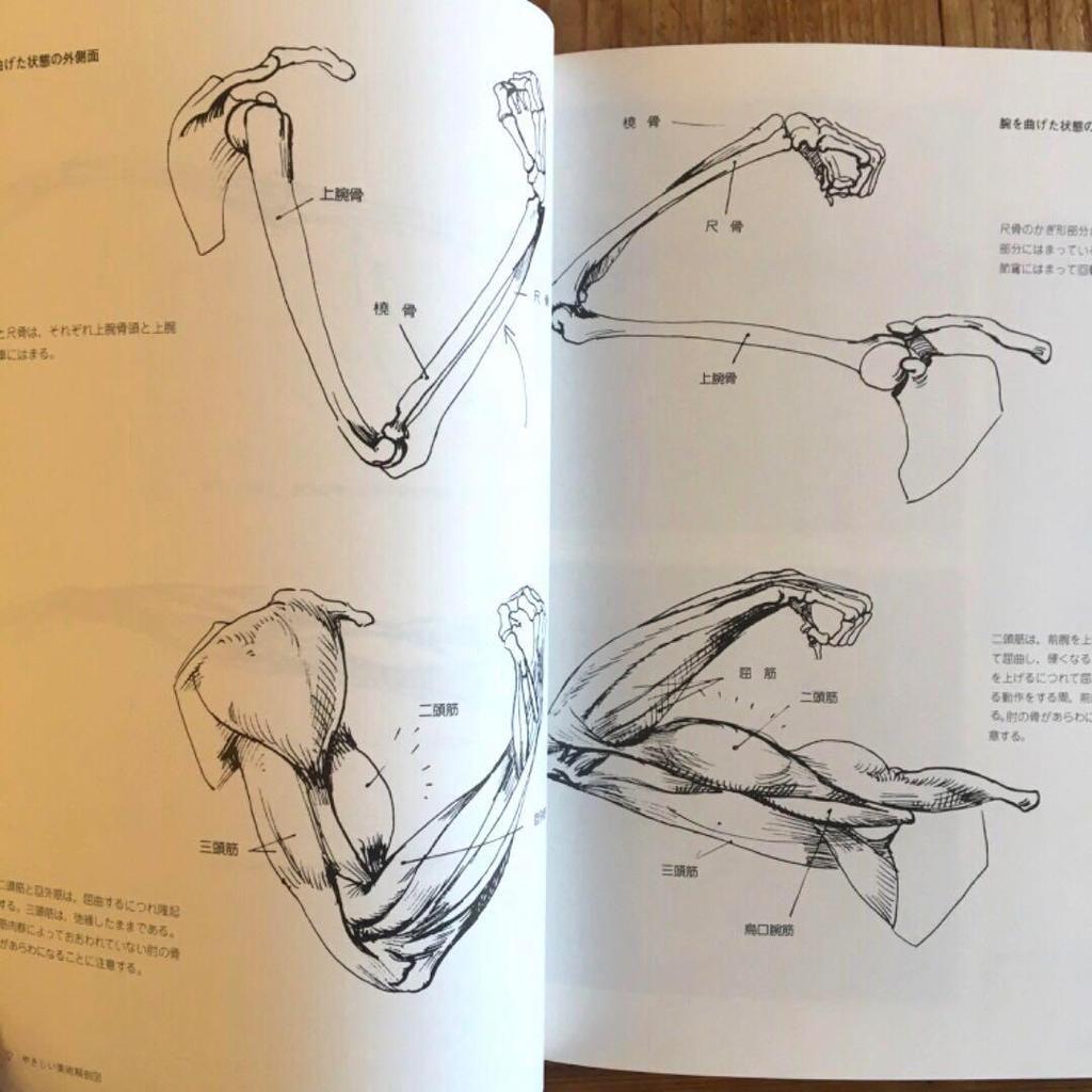 [GEBRAUCHT] Aktzeichnen 430 Schnitte Struktur Grundlegendes Skelett-Diagramm Erklärung Illustration Akt