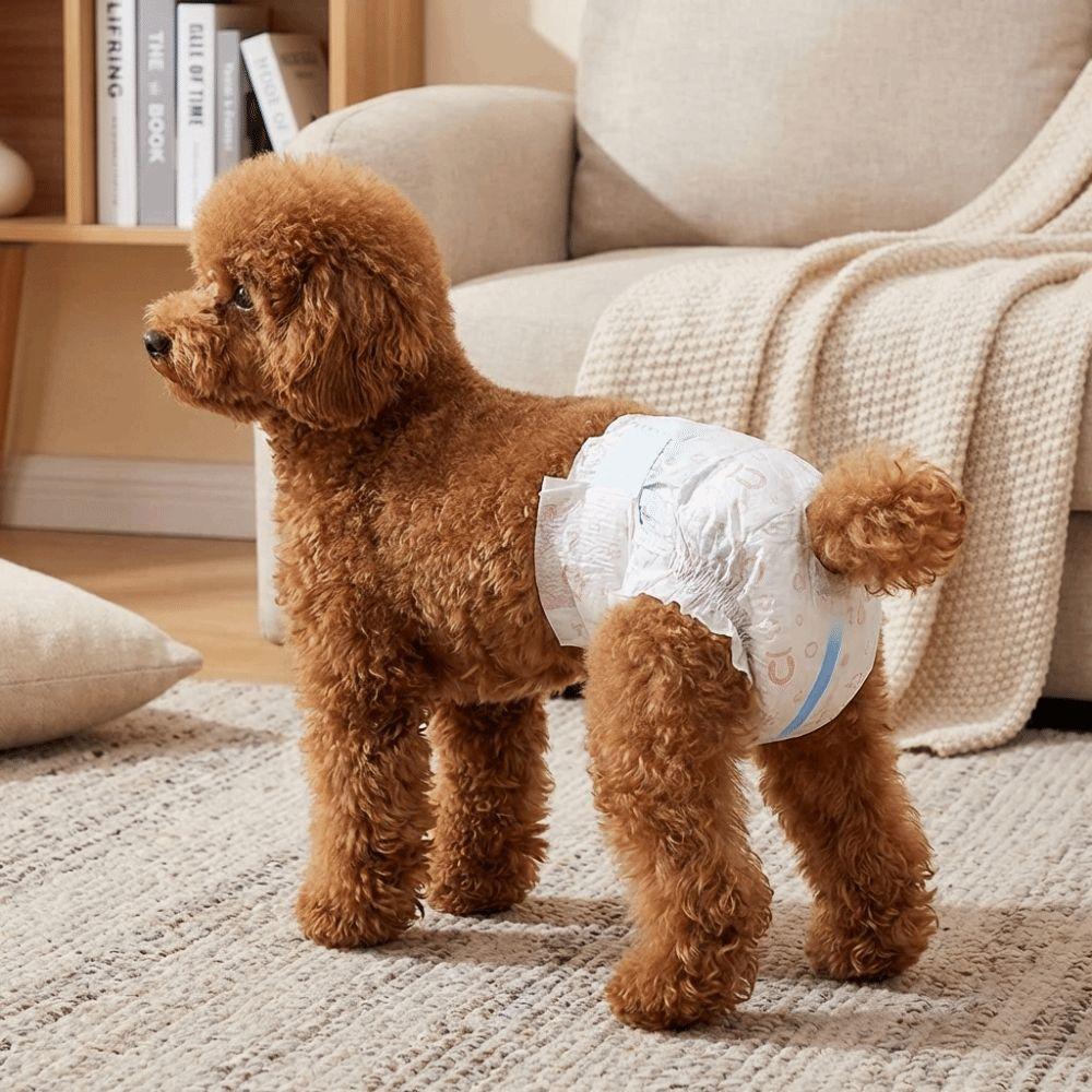 10PCS Super Absorption Dog Physiological Pants Breathable Disposable Diapers  Dog Travel